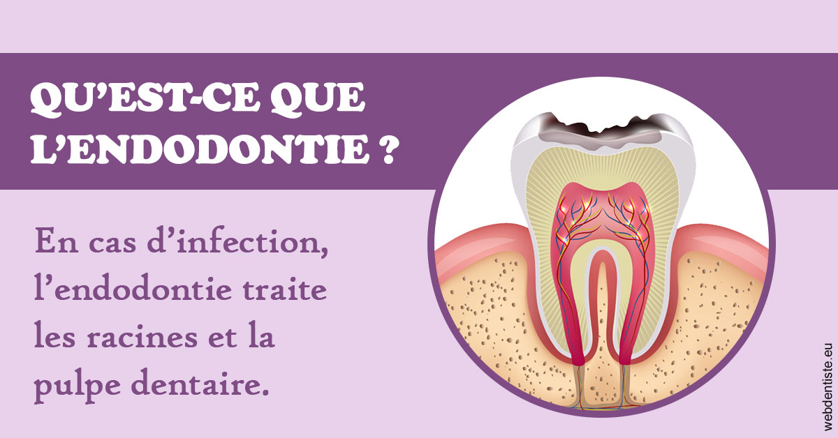 https://www.cabinetdentaire-etoile.fr/2024 T1 - Endodontie 02