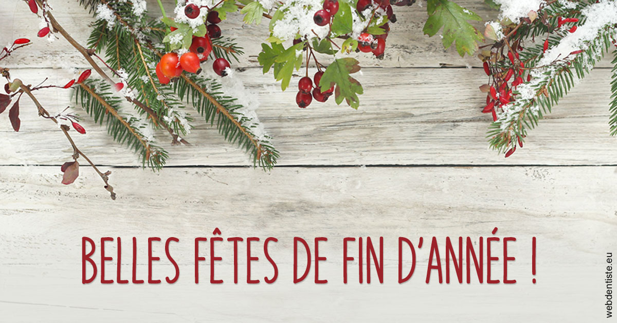 https://www.cabinetdentaire-etoile.fr/Joyeux Noël 2