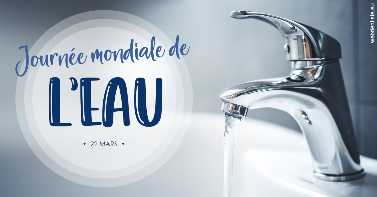 https://www.cabinetdentaire-etoile.fr/La journée de l'eau 2