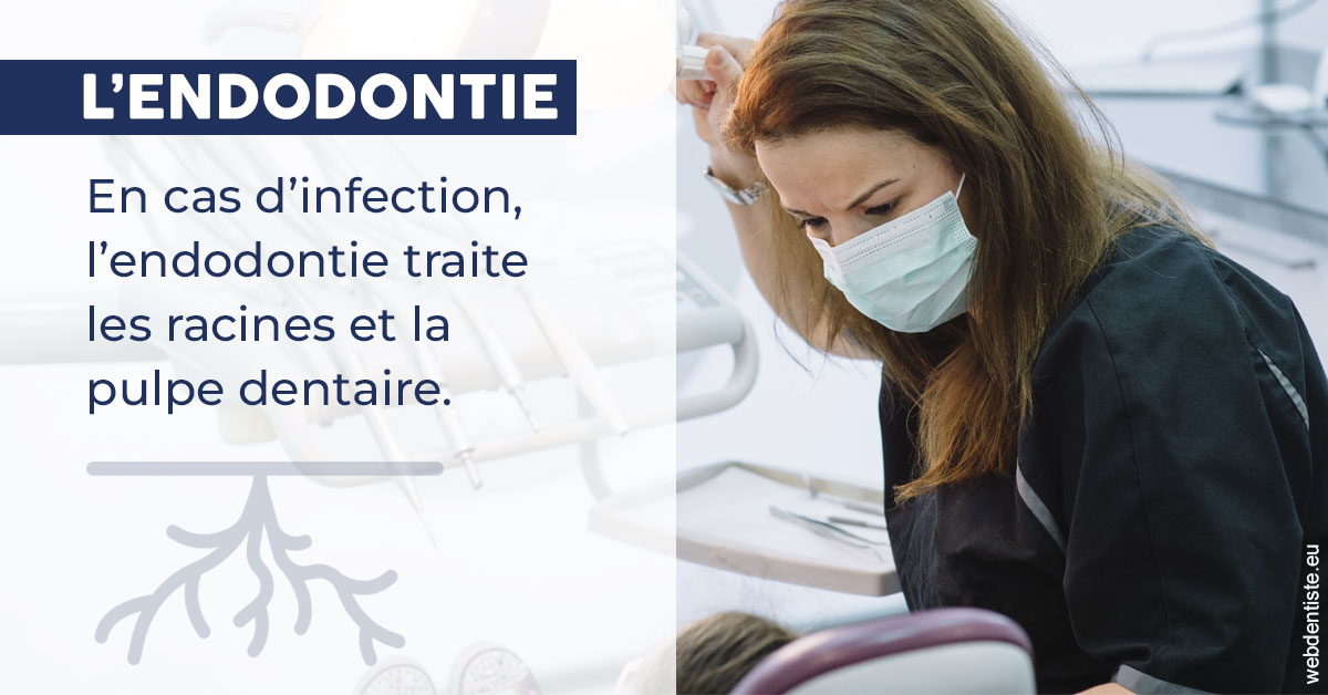 https://www.cabinetdentaire-etoile.fr/L'endodontie 1