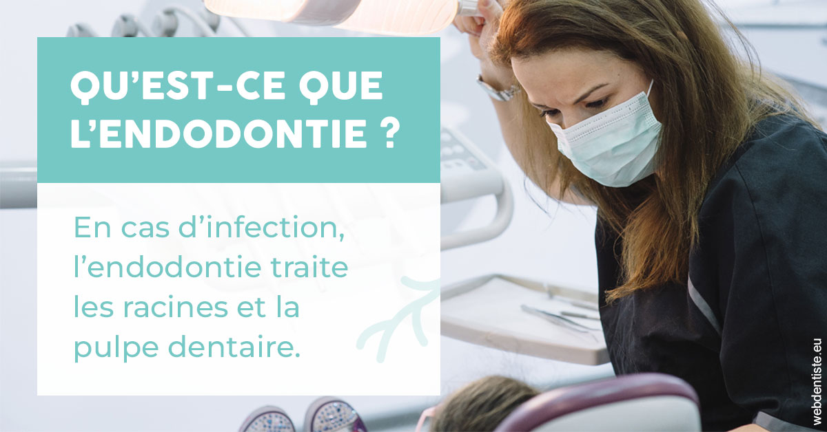 https://www.cabinetdentaire-etoile.fr/2024 T1 - Endodontie 01